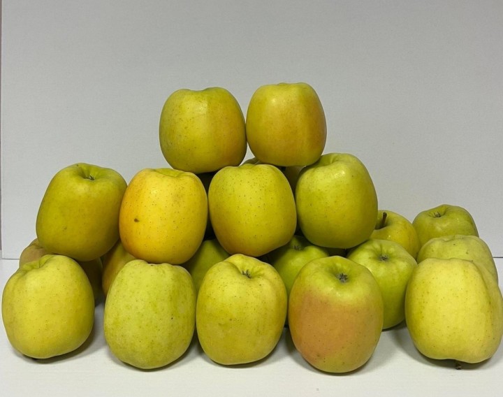 Jabłko Golden 12 kg